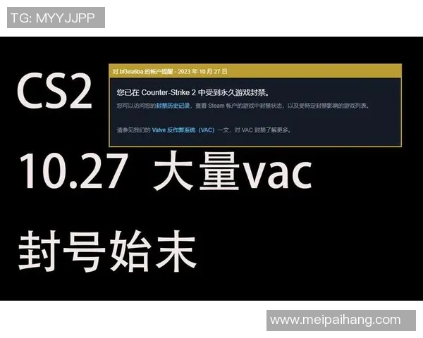 CS2VAC误封问题解决方案及玩家权益保护措施详解
